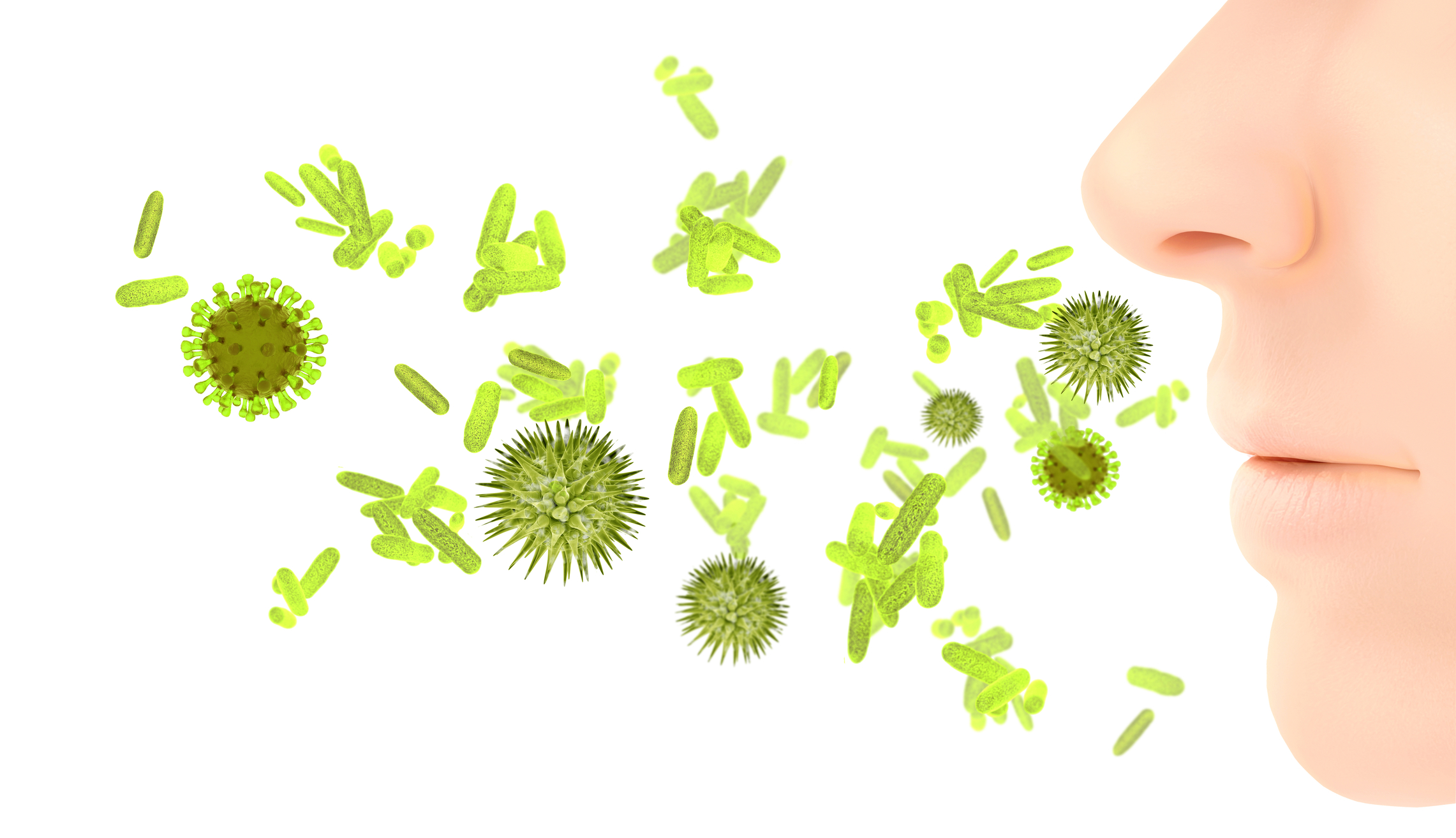 Heuschnupfen, Allergie